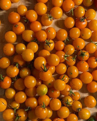 Citrine - Organic (F1) Tomato Seed photo review