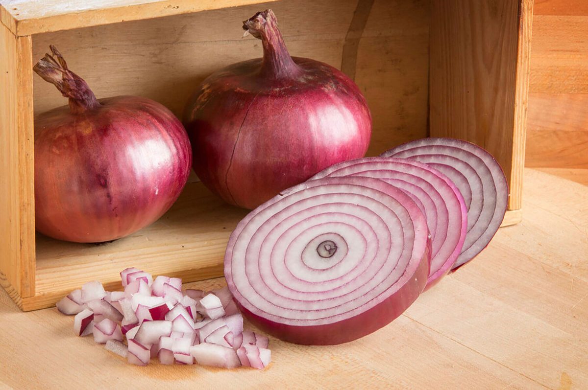 Monastrell - Organic (F1) Onion Seed