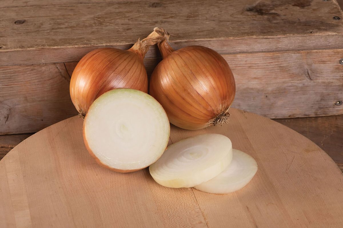 Talon - Organic (F1) Onion Seed