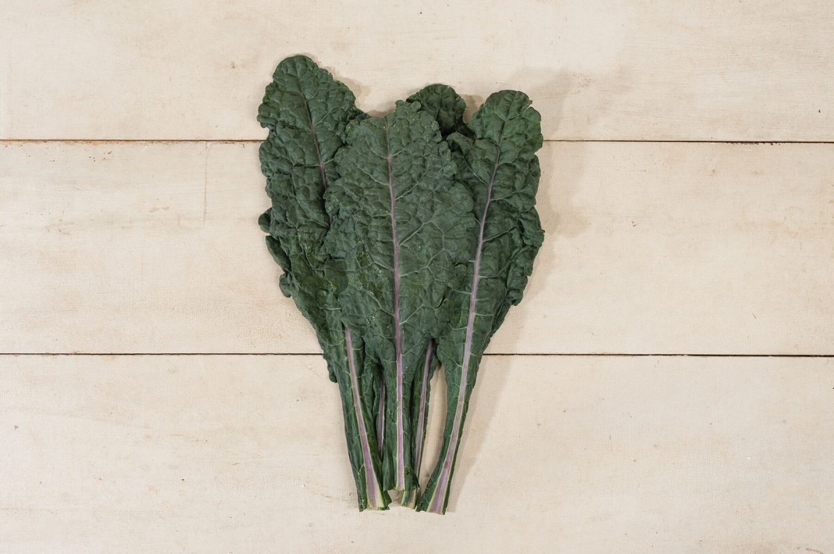 Dazzling Blue - Organic Kale Seed