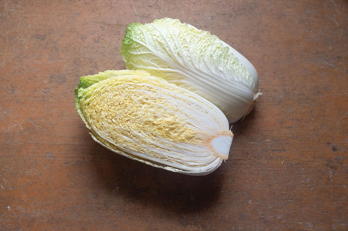 Citrus - Orange Chinese Cabbage Seeds