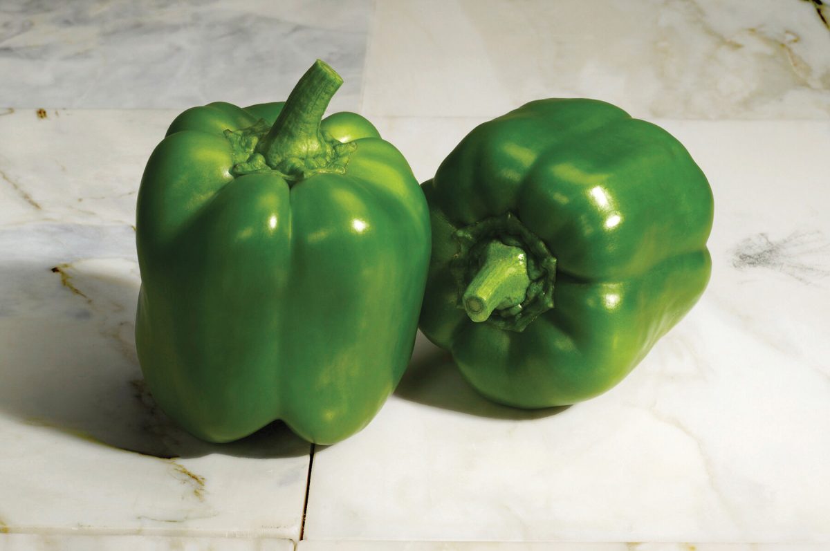 Classic - (F1) Bell Pepper Seed