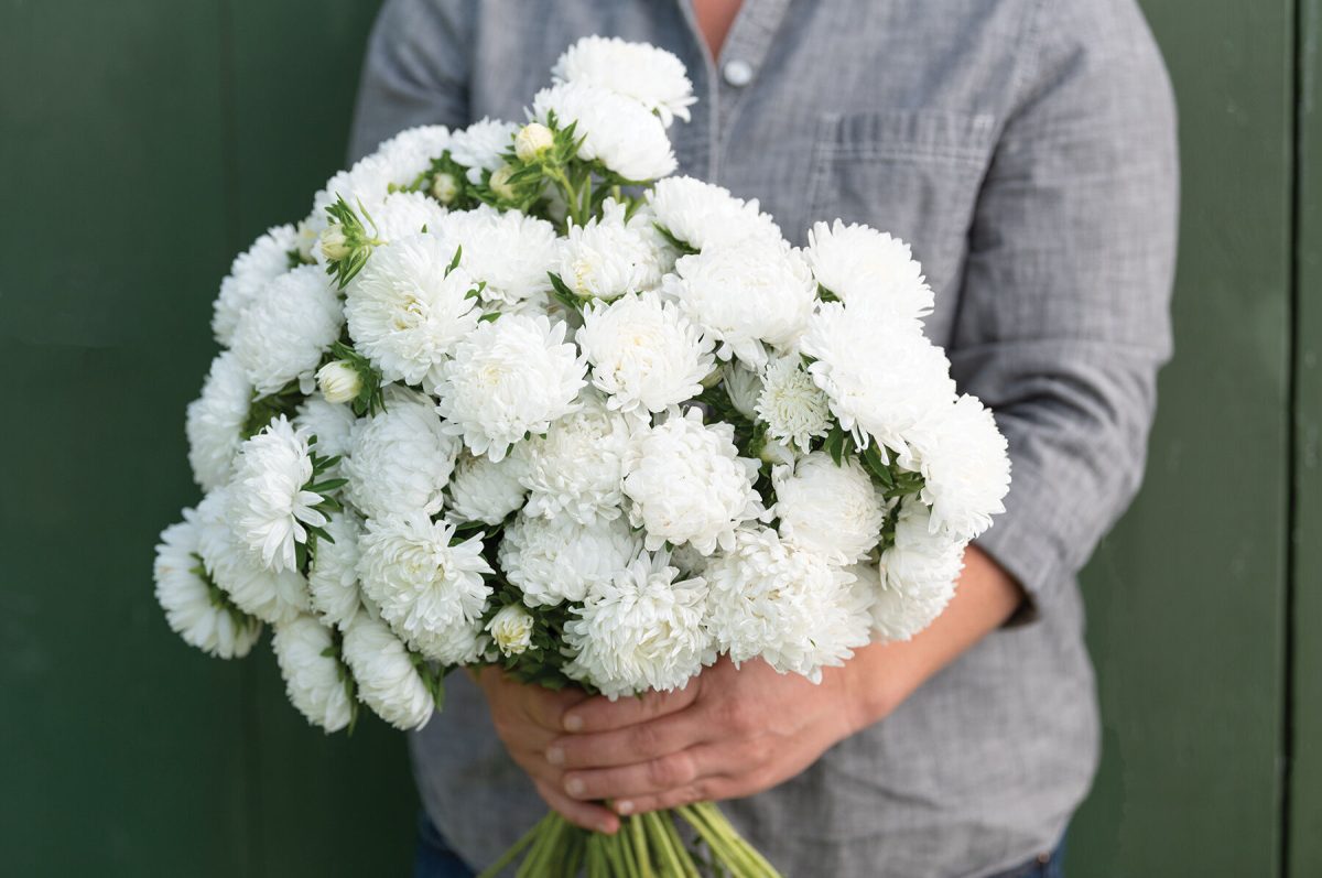 Tower White - China Aster Seed