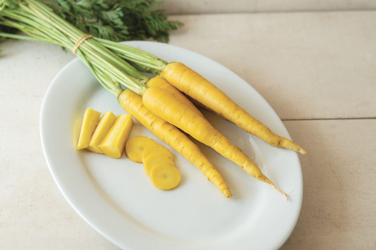 Yellow Moon - Yellow Carrot Seeds