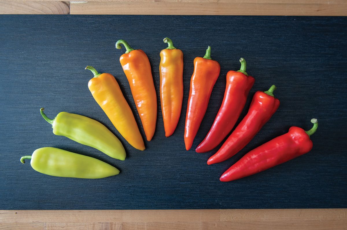 Hungarian Hot Wax Organic Pepper Seeds