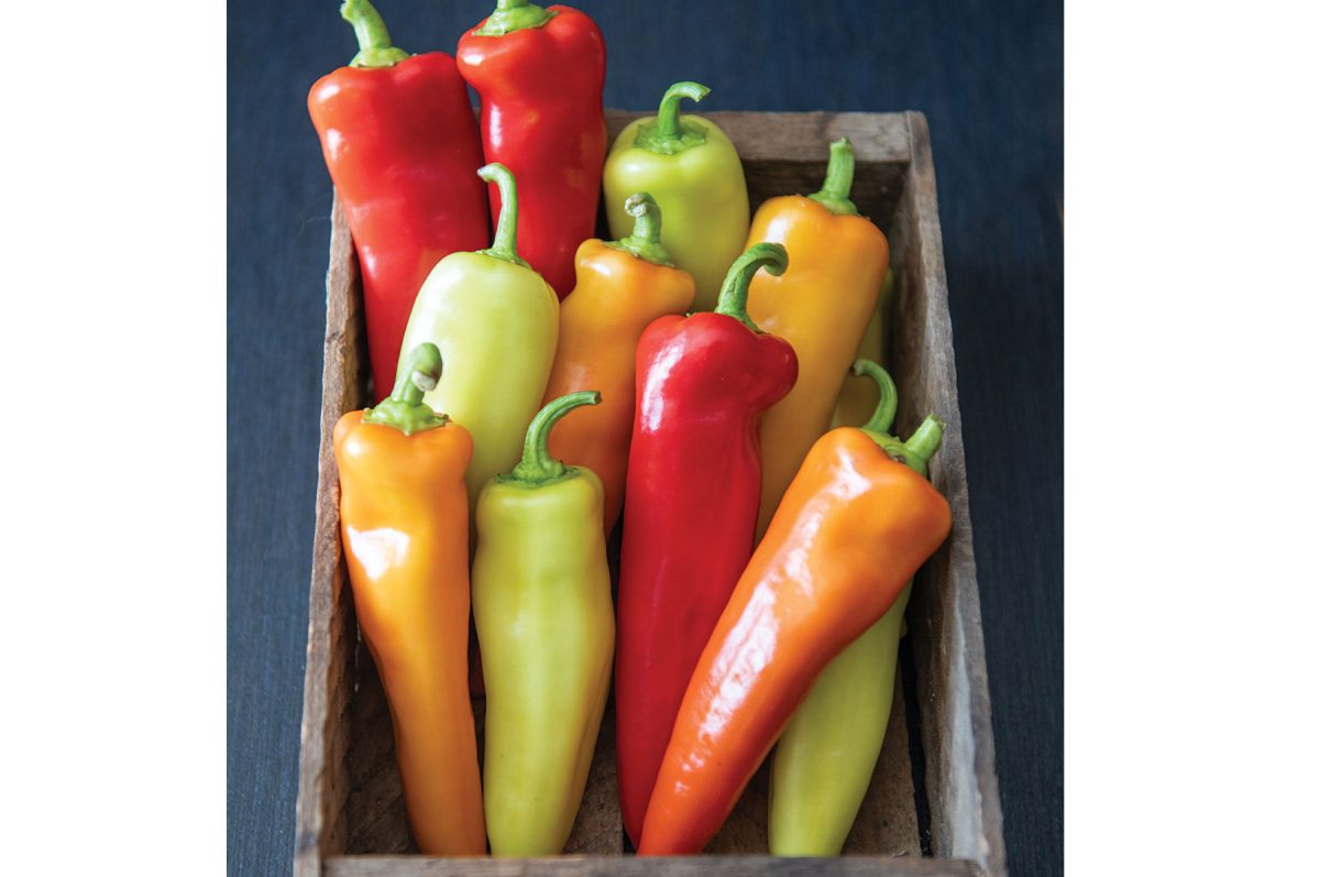 Hungarian Hot Wax Organic Pepper Seeds - Image 2