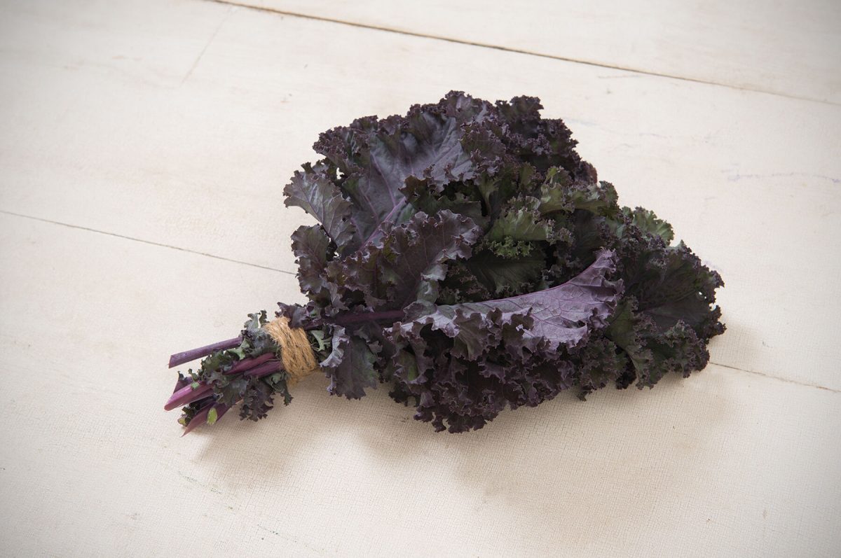 Frise? Rouge - Organic Kale Seed