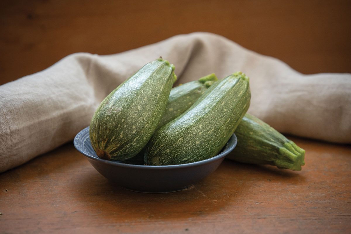 Mexicana - Organic (F1) Zucchini Squash Seed