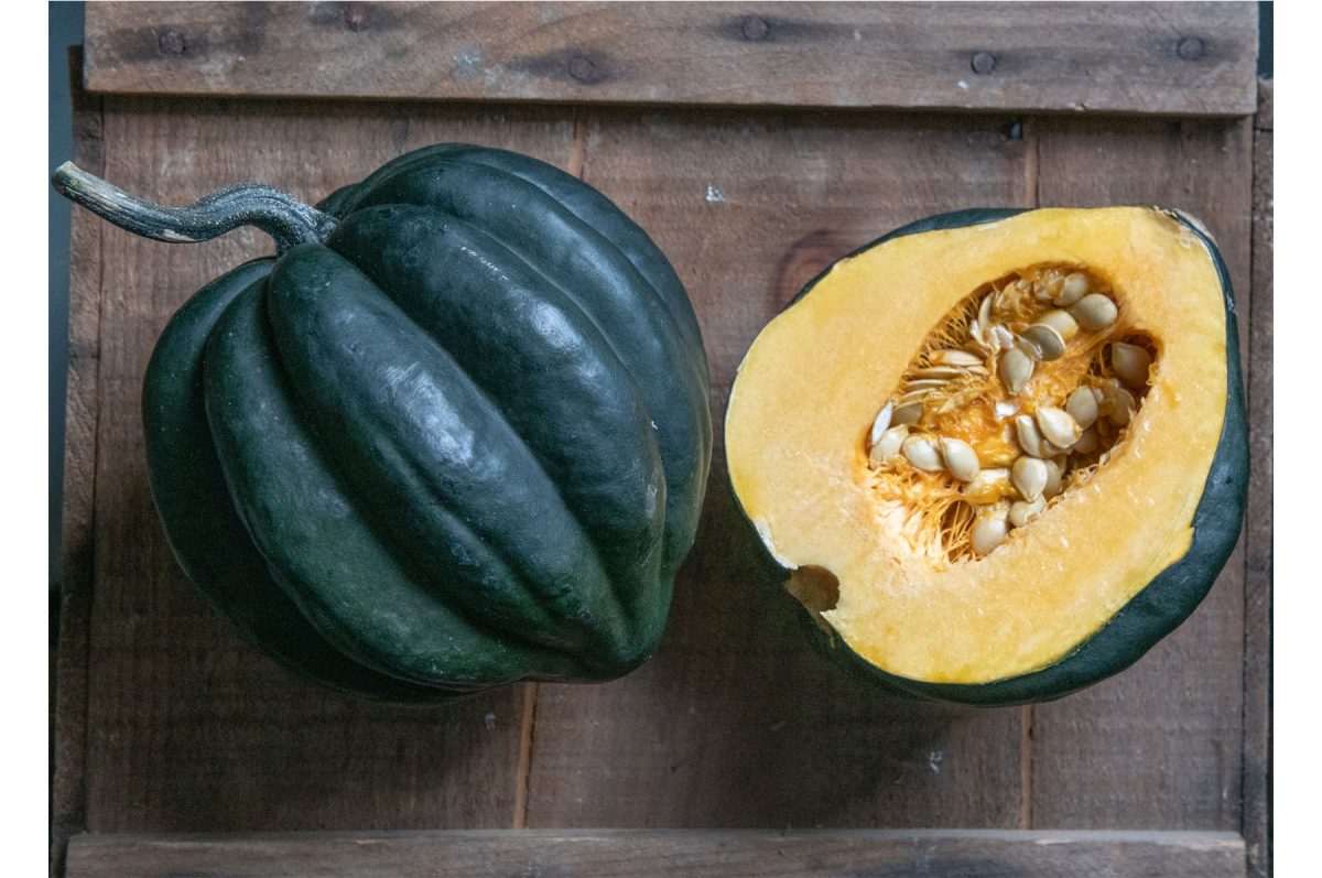 Night Shift - (F1) Acorn Squash Seed