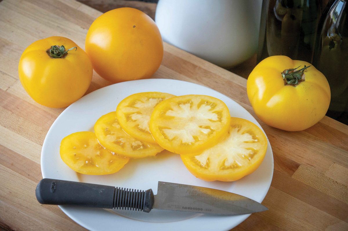 Lemon Boy Plus - Yellow Beefsteak Tomato Seeds