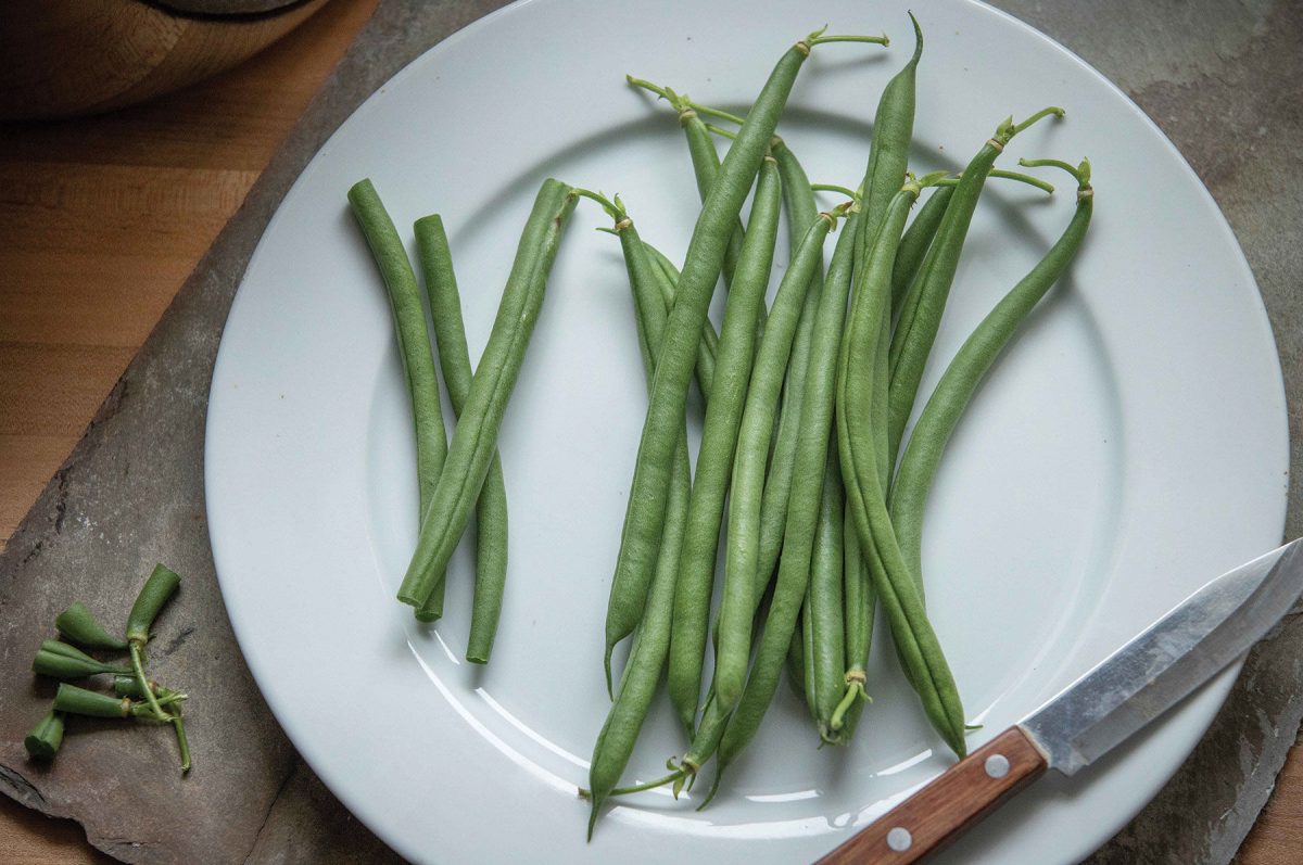 Seychelles - Organic Bean Seed