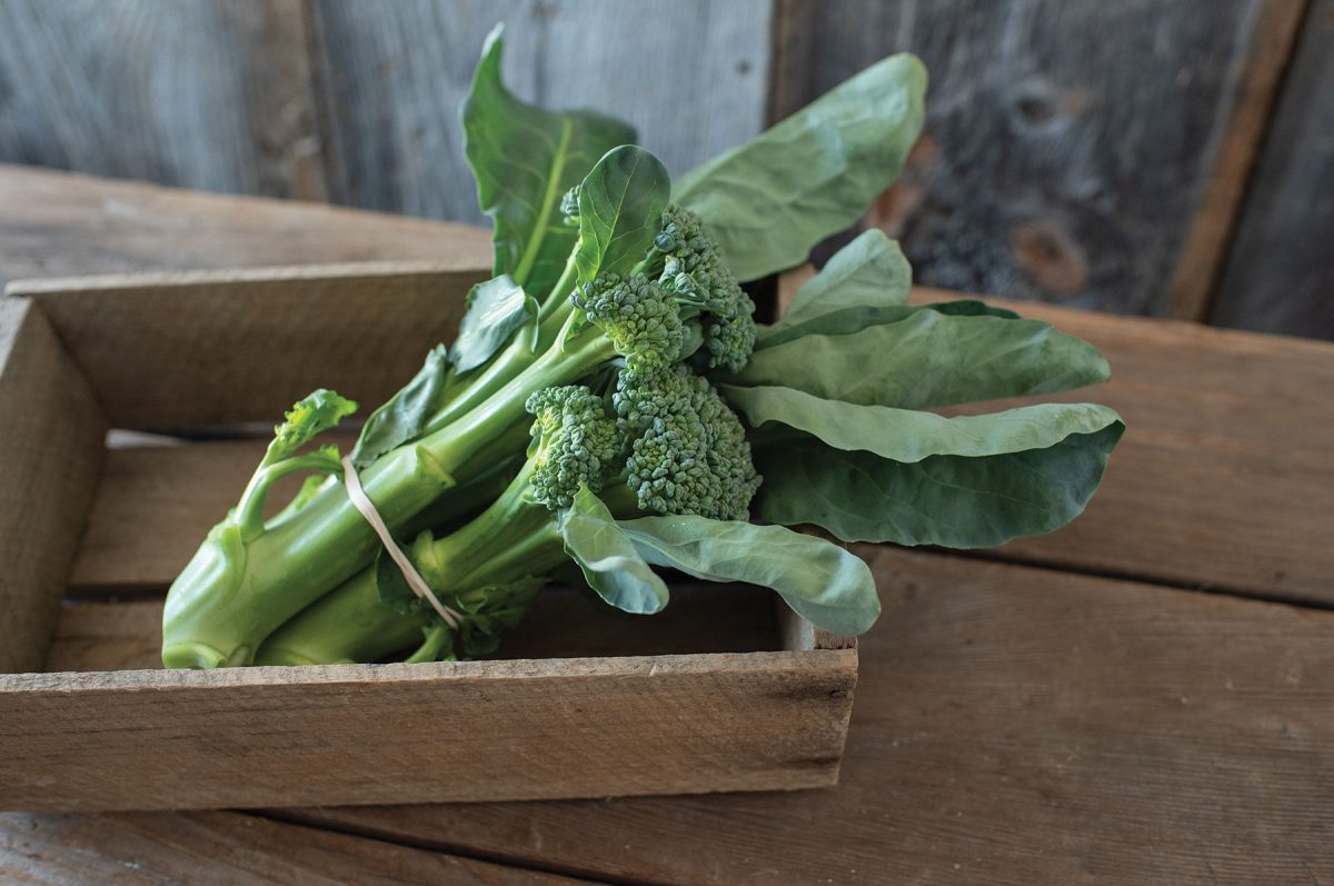 Sweet Bunch - (F1) Broccoli Seed