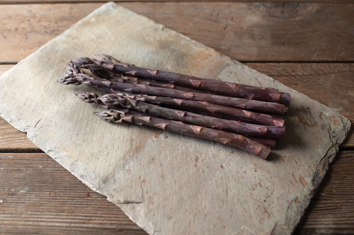 Erasmus - Purple Asparagus Seeds