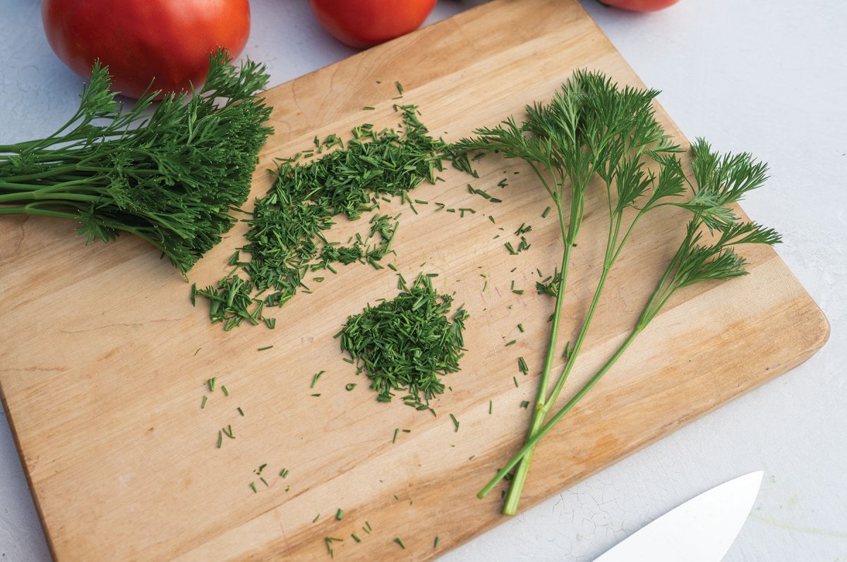 Menuette - Fern Leaf Parsley Seeds - Image 4