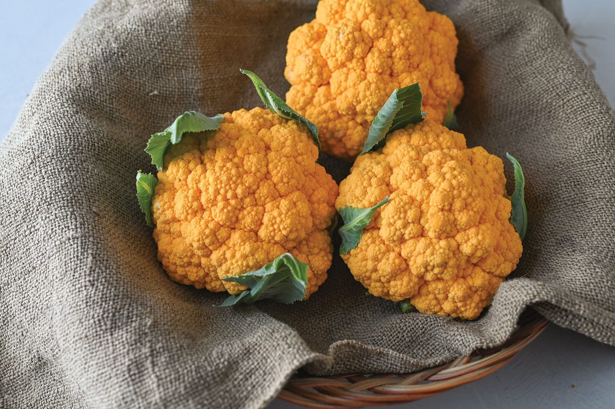 Clementine - Orange Cauliflower Seeds