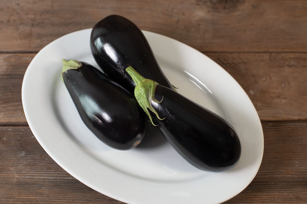 Gaudi - Organic (F1) Eggplant Seed