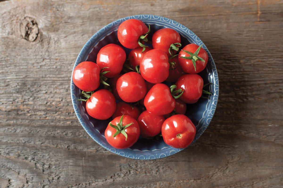 Mochi - Cherry Tomato Seeds