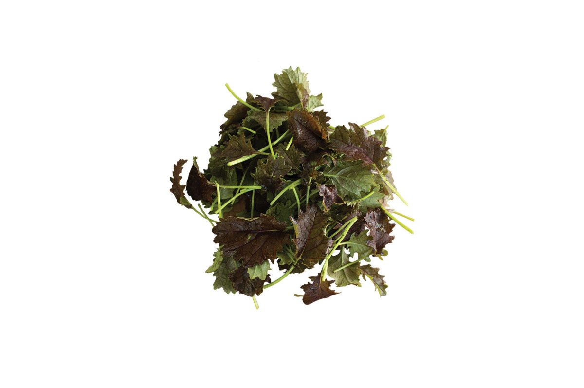 KX-1 - Organic Kale Seed - Image 2