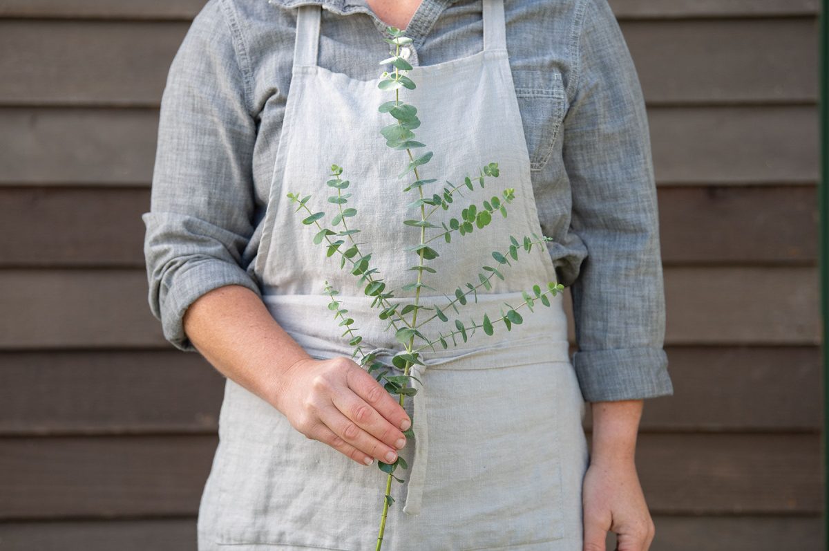 Baby Blue Bouquet - Eucalyptus Seed