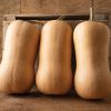 Block Party - Organic (F1) Butternut Squash Seed