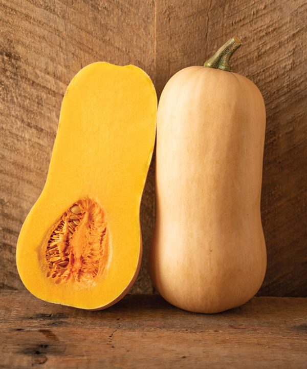 Block Party - Organic (F1) Butternut Squash Seed