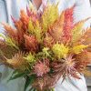 Shimmer - Organic Celosia Seed