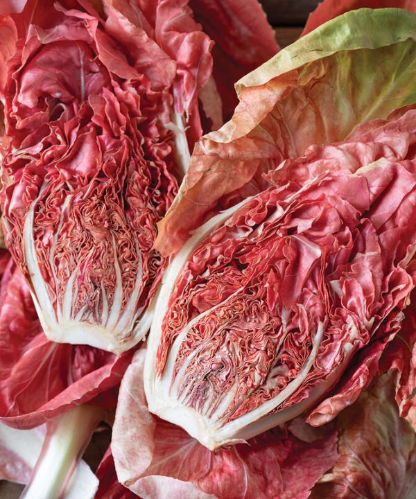 Stella Rosa - Radicchio Seed