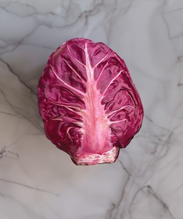 Luna Rossa - Radicchio Seed