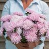 Soufflé Light Pink - China Aster Seed