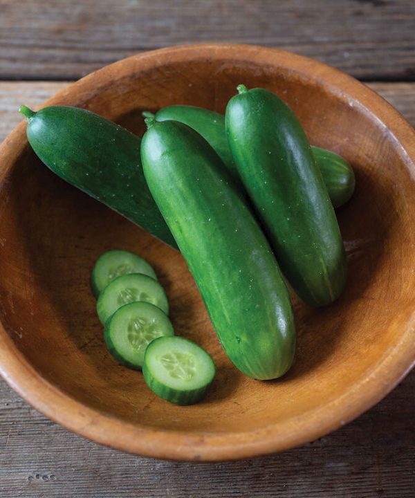 Quick Snack - (F1) Cucumber Seed