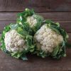 Tessaury - Organic (F1) Cauliflower Seed