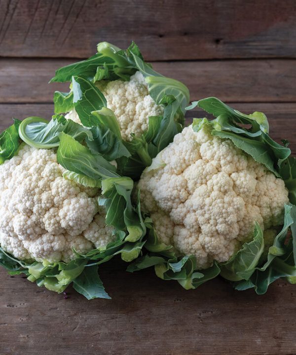 Tessaury - Organic (F1) Cauliflower Seed