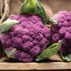 Amethyst - (F1) Cauliflower Seed