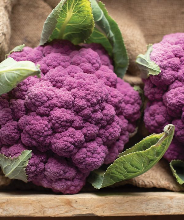 Amethyst - (F1) Cauliflower Seed