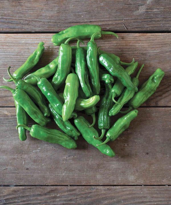 Paisan - Organic Pepperoncini Pepper Seed