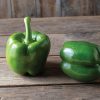 Huntington - (F1) Bell Pepper Seed