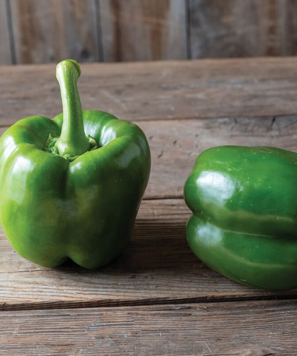 Huntington - (F1) Bell Pepper Seed